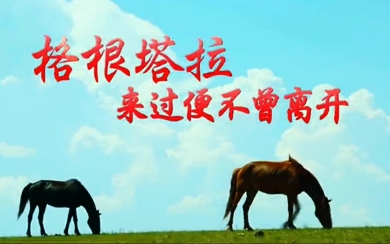 &#98;&#115;&#112;&#111;&#114;&#116;&#115;&#45;&#98;&#40;&#20013;&#22269;&#41;&#19968;&#31449;&#24335;&#20307;&#32946;&#26381;&#21153;&#23448;&#26041;&#32593;&#31449;