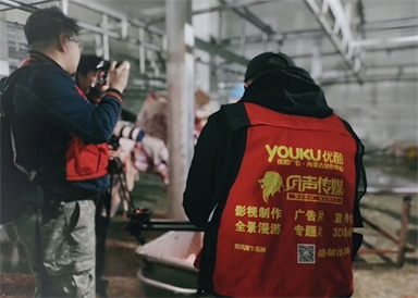 &#98;&#115;&#112;&#111;&#114;&#116;&#115;&#45;&#98;&#40;&#20013;&#22269;&#41;&#19968;&#31449;&#24335;&#20307;&#32946;&#26381;&#21153;&#23448;&#26041;&#32593;&#31449;